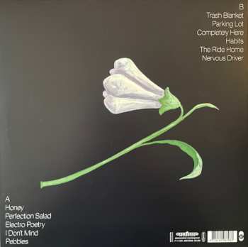 LP Cloud Cafe: Gift Horse CLR