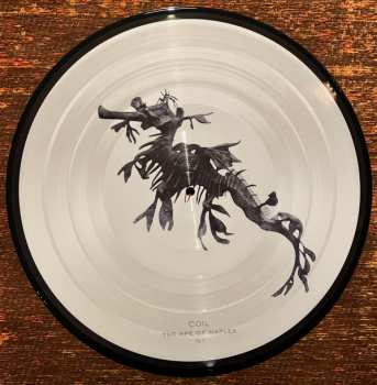 3LP Coil: The Ape Of Naples LTD | NUM | PIC