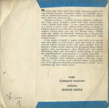 SP Collegium Musicum: Hommage À J. S. Bach / Ulica Plná Plášťov Do Dažďa