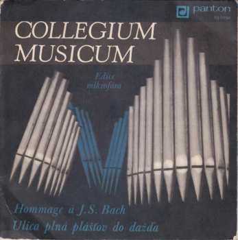 SP Collegium Musicum: Hommage À J. S. Bach / Ulica Plná Plášťov Do Dažďa