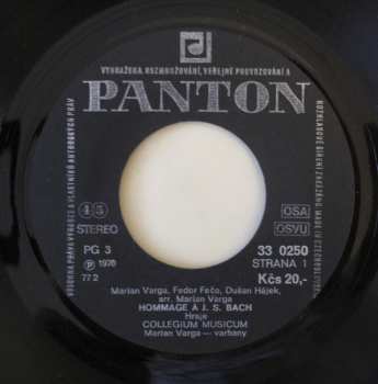 SP Collegium Musicum: Hommage À J. S. Bach / Ulica Plná Plášťov Do Dažďa