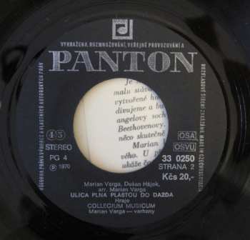 SP Collegium Musicum: Hommage À J. S. Bach / Ulica Plná Plášťov Do Dažďa