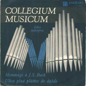 SP Collegium Musicum: Hommage À J. S. Bach / Ulica Plná Plášťov Do Dažďa