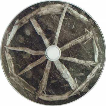 CD Common Eider, King Eider: Extinction