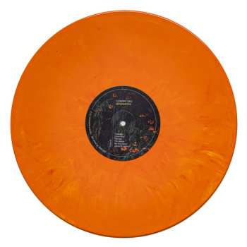 LP Compro Oro: Estarantos CLR | LTD