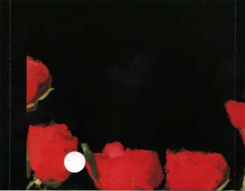 CD Concrete Blonde: Bloodletting