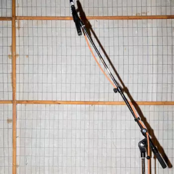 Contrast Trio: Litila Zozulya