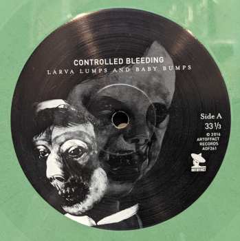 2LP Controlled Bleeding: Larva Lumps And Baby Bumps CLR