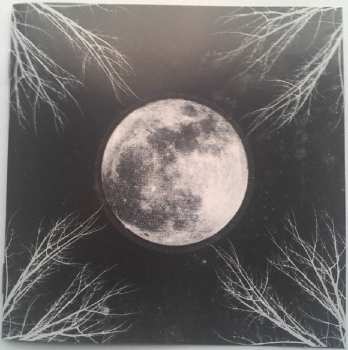 CD Corpus Christii: PaleMoon