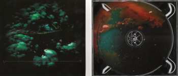 CD Cosmic Ground: Entropy