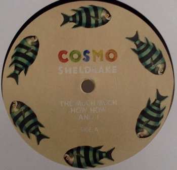 2LP Cosmo Sheldrake: The Much Much How How And I
