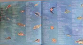 2LP Cosmo Sheldrake: The Much Much How How And I