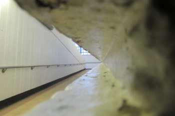 Album Craig Ward: Leave Everything Move Out