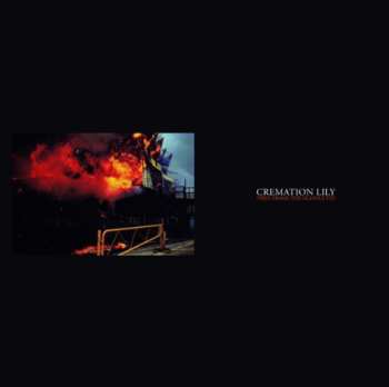 LP Cremation Lily: Fires Frame The Silhouette LTD