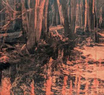 LP Cromlech: Of Owls And Eels LTD | CLR