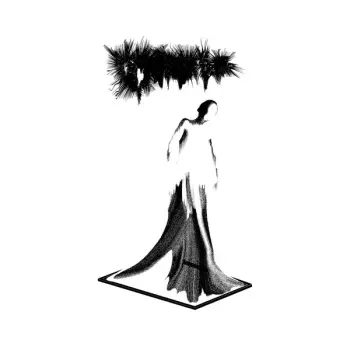 Cryptae: Vestigial