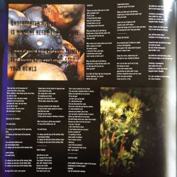 LP Crystal Fairy: Crystal Fairy LTD