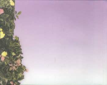 CD Crystal Gayle: In My Arms