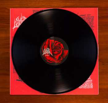 LP Cult Leader: A Patient Man