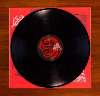 LP Cult Leader: A Patient Man