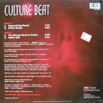 LP Culture Beat: You Belong