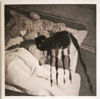 7CD/SP/Caja Current 93: The Long Shadow Falls LTD