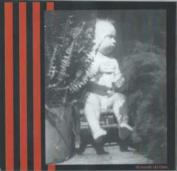 CD Dale Hawkins: Dale Rocks