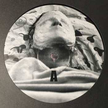 LP Dame Area: La Soluzione É Una