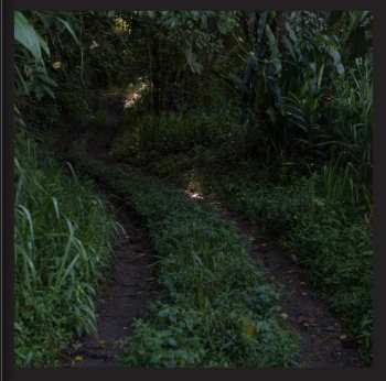 CD Damian Marley: Stony Hill