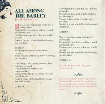 CD Damien O'Kane: Avenging & Bright