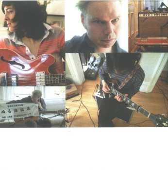 CD Damon & Naomi: The Earth Is Blue