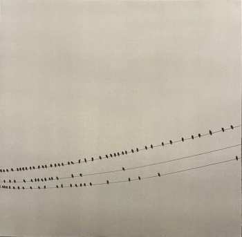 LP Daniel Knox: Won't You Take Me With You CLR