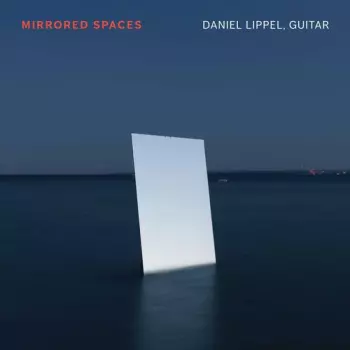 Dan Lippel: Mirrored Spaces