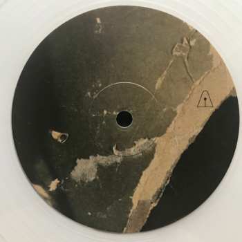 LP Daniela Casa: Società Malata CLR | LTD | NUM