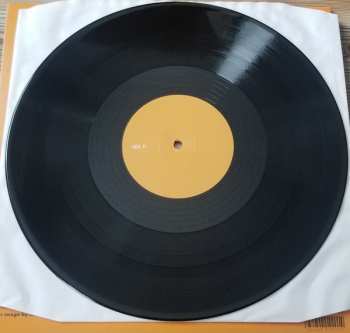 LP Danny Scott Lane: Shower LTD