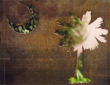 CD Darius Rucker: Charleston, SC 1966