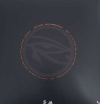 LP Dark Horses: While We Were Sleeping