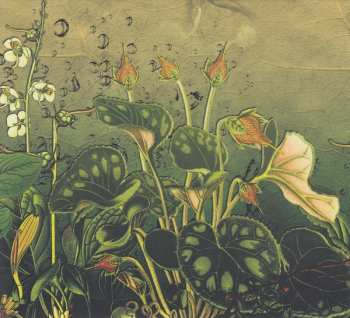 CD Dave Ball: Photosynthesis