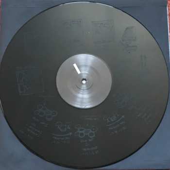 LP Dave Grohl: Play LTD