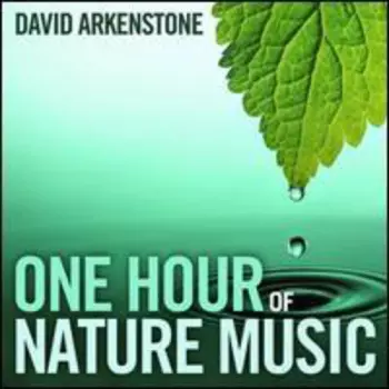 David Arkenstone: One Hour Of Nature Music