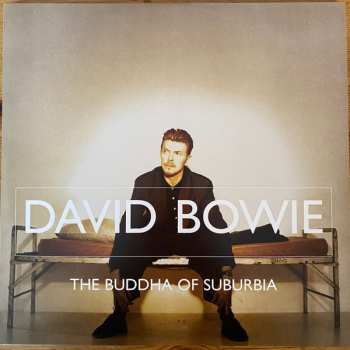 18LP/Caja David Bowie: Brilliant Adventure [1992-2001] LTD