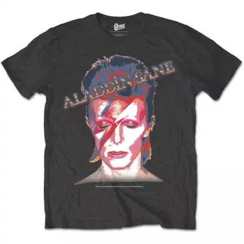 Camiseta Aladdin Sane 