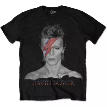 Camiseta Aladdin Sane 