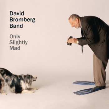 Album David Bromberg Band: Only Slightly Mad