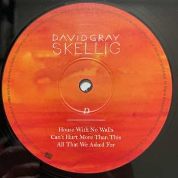 2LP David Gray: Skellig