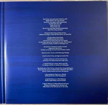 2LP David Gray: Skellig