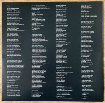 2LP David Gray: Skellig