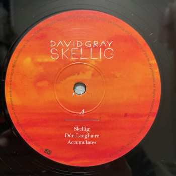 2LP David Gray: Skellig