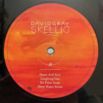 2LP David Gray: Skellig