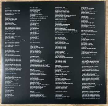 2LP David Gray: Skellig